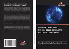 CLUSTER CHIMICI DAI NUMERI DELLO SCHELETRO AGLI INDICI DI CAPPING的封面