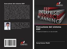 Couverture de Esecuzione del sistema ERP