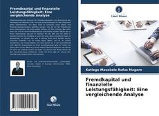 Fremdkapital und finanzielle Leistungsfähigkeit: Eine vergleichende Analyse kitap kapağı