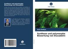 Portada del libro de Synthese und polymorphe Bewertung von Eluxadolin