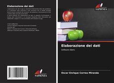 Bookcover of Elaborazione dei dati