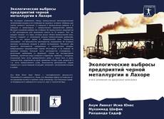 Borítókép a  Экологические выбросы предприятий черной металлургии в Лахоре - hoz