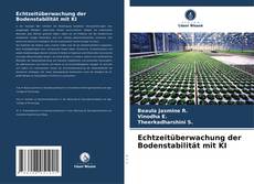 Buchcover von Echtzeitüberwachung der Bodenstabilität mit KI