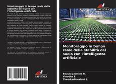 Bookcover of Monitoraggio in tempo reale della stabilità del suolo con l'intelligenza artificiale