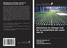 Copertina di Monitoreo en tiempo real de la estabilidad del suelo con IA