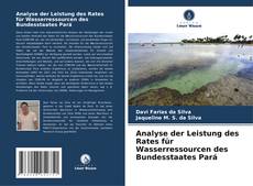 Buchcover von Analyse der Leistung des Rates für Wasserressourcen des Bundesstaates Pará