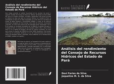 Portada del libro de Análisis del rendimiento del Consejo de Recursos Hídricos del Estado de Pará