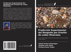 Copertina di Predicción Experimental del Desgaste por Erosión de Lodos Minerales