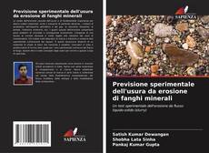 Bookcover of Previsione sperimentale dell'usura da erosione di fanghi minerali