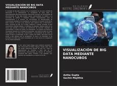 Portada del libro de VISUALIZACIÓN DE BIG DATA MEDIANTE NANOCUBOS