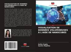 Bookcover of VISUALISATION DE DONNÉES VOLUMINEUSES À L'AIDE DE NANOCUBES