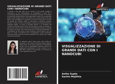 Buchcover von VISUALIZZAZIONE DI GRANDI DATI CON I NANOCUBI