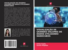 Couverture de VISUALIZAÇÃO DE GRANDES VOLUMES DE DADOS UTILIZANDO NANOCUBOS