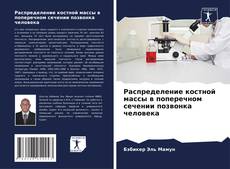 Распределение костной массы в поперечном сечении позвонка человека kitap kapağı