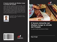 Bookcover of Il lavoro minorile nei dhabas lungo le strade del Punjab