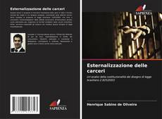 Bookcover of Esternalizzazione delle carceri