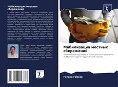Мобилизация местных сбережений kitap kapağı