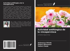 Buchcover von Actividad antifúngica de la vincapervinca