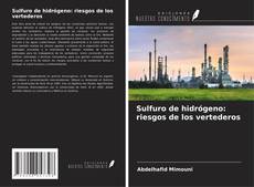 Portada del libro de Sulfuro de hidrógeno: riesgos de los vertederos