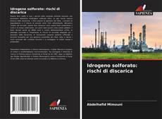 Buchcover von Idrogeno solforato: rischi di discarica