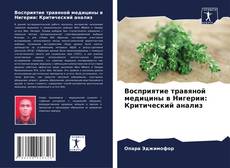 Capa do livro de Восприятие травяной медицины в Нигерии: Критический анализ 