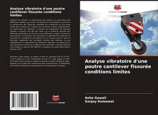 Copertina di Analyse vibratoire d'une poutre cantilever fissurée conditions limites