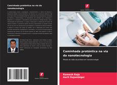 Couverture de Caminhada protóntica na via da nanotecnologia