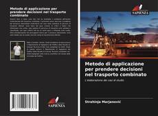 Portada del libro de Metodo di applicazione per prendere decisioni nel trasporto combinato