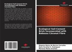 Copertina di Ecological Soil-Cement Brick Incorporated with Babassu Coconut Fibre