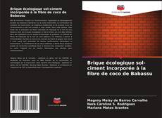 Capa do livro de Brique écologique sol-ciment incorporée à la fibre de coco de Babassu 