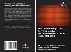 Bookcover of Mattone ecologico in terra-cemento incorporato con fibra di cocco Babassu