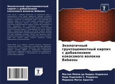 Экологичный грунтоцементный кирпич с добавлением кокосового волокна Babassu kitap kapağı