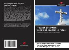 Copertina di Tourist potential: religious tourism in focus
