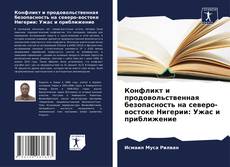 Конфликт и продовольственная безопасность на северо-востоке Нигерии: Ужас и приближение kitap kapağı