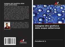 Buchcover von Indagine idro geofisica delle acque sotterranee