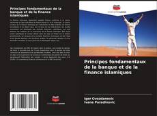 Обложка Principes fondamentaux de la banque et de la finance islamiques