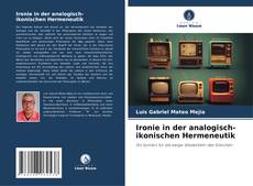 Copertina di Ironie in der analogisch-ikonischen Hermeneutik