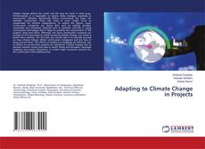 Copertina di Adapting to Climate Change in Projects