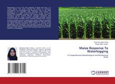 Copertina di Maize Response To Waterlogging