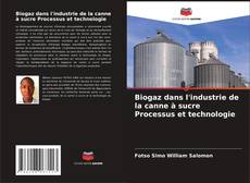 Обложка Biogaz dans l'industrie de la canne à sucre Processus et technologie