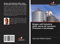 Buchcover von Biogas nell'industria della canna da zucchero Processo e tecnologia