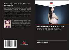 Bookcover of Grossesse à haut risque dans une zone rurale