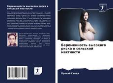 Capa do livro de Беременность высокого риска в сельской местности 