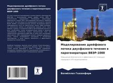 Моделирование дрейфового потока двухфазного течения в парогенераторах ВВЭР-1000 kitap kapağı