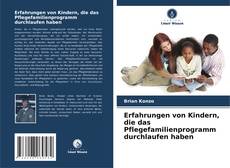 Erfahrungen von Kindern, die das Pflegefamilienprogramm durchlaufen haben的封面