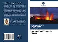 Handbuch der Igneous Rocks的封面