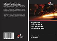 Migliorare la produttività nell'industria manifatturiera的封面