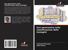 Bookcover of Una panoramica sulla classificazione delle immagini