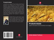 Couverture de Produtividade