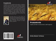 Bookcover of Produttività